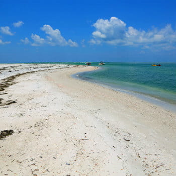 Beach at Bribie Island, Moreton Bay