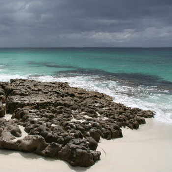hyams beach in jervis bay