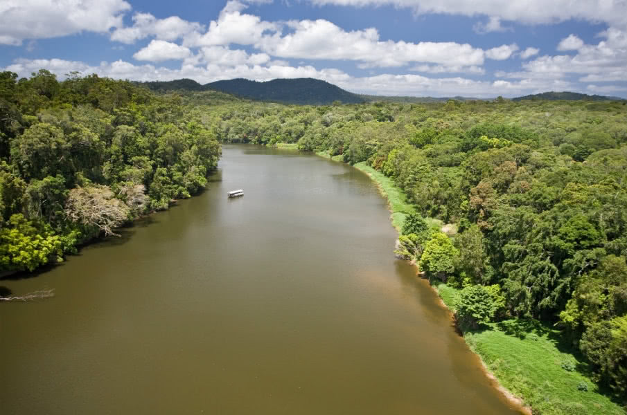 Daintree River