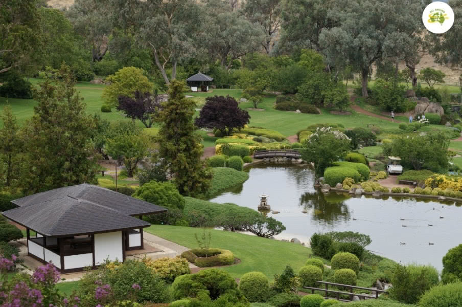 nice view of japanese gardens in cowra nice view of japanese gardens in cowra