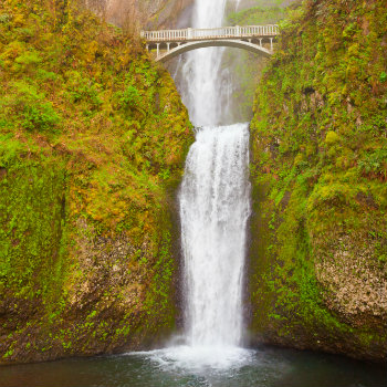 Multnomah falls and Benson footbridge, Oregon