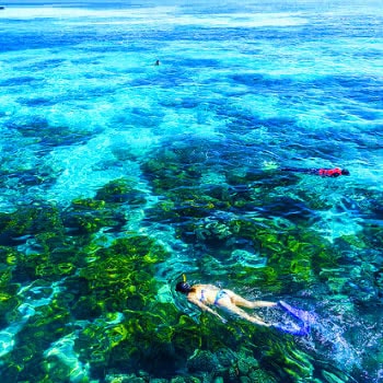 Snorkelling at the Great Barrier Reef, Cairns