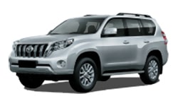 rental cars