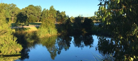 wetlands at namatjira park clayton, victoria